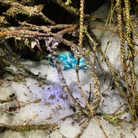 Image 5 of Pre-order Frozen Goblin