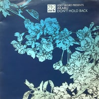 Joey Negro Presents Akabu – Don't Hold Back (House - Used)