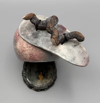 Image 1 of Branching Out