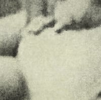 Image 3 of Immaculate:Grotesque "Daylight Perversion" CD (Tribe Tapes)