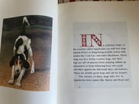 Image 2 of Vintage Appalachia The Voices of Sleeping Birds