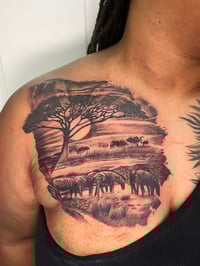 Image 1 of Half Day $500 ( $150 Deposit )