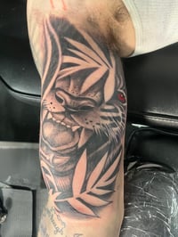 Image 3 of Half Day $500 ( $150 Deposit )