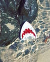Shark Bait 