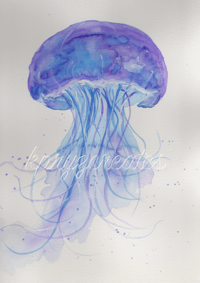 Jellyfish 