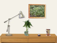 Image 4 of RnJ_Greenery UnFramed Print