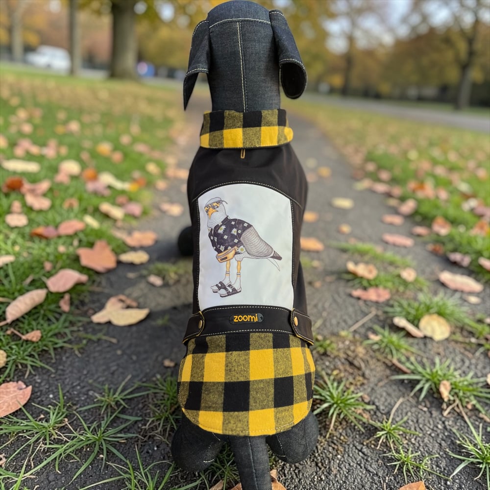 Image of Where’s the chippies?