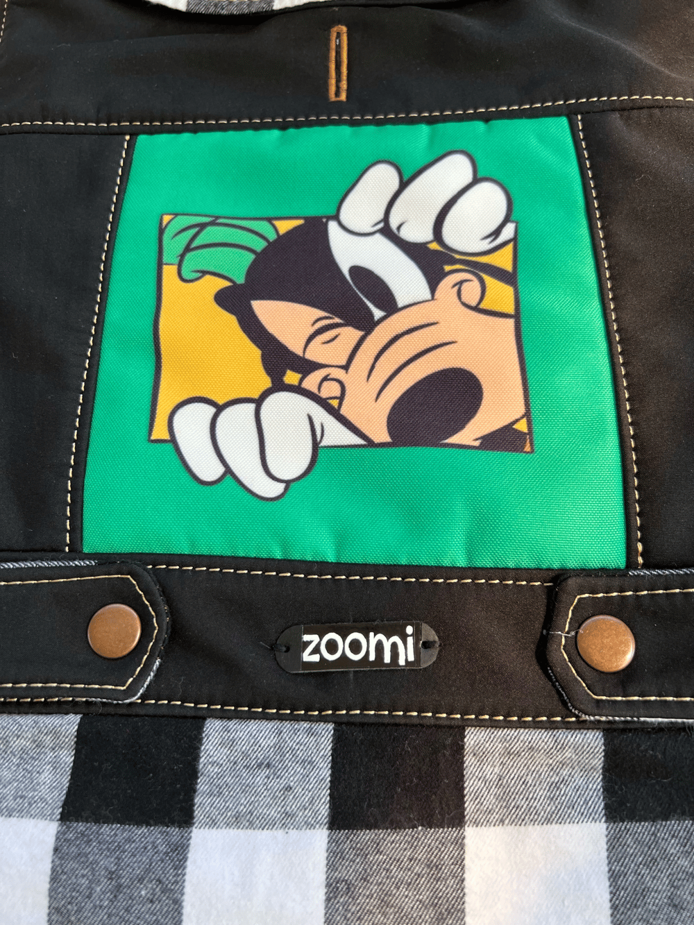Image of Goofy