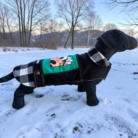 Image 1 of Goofy