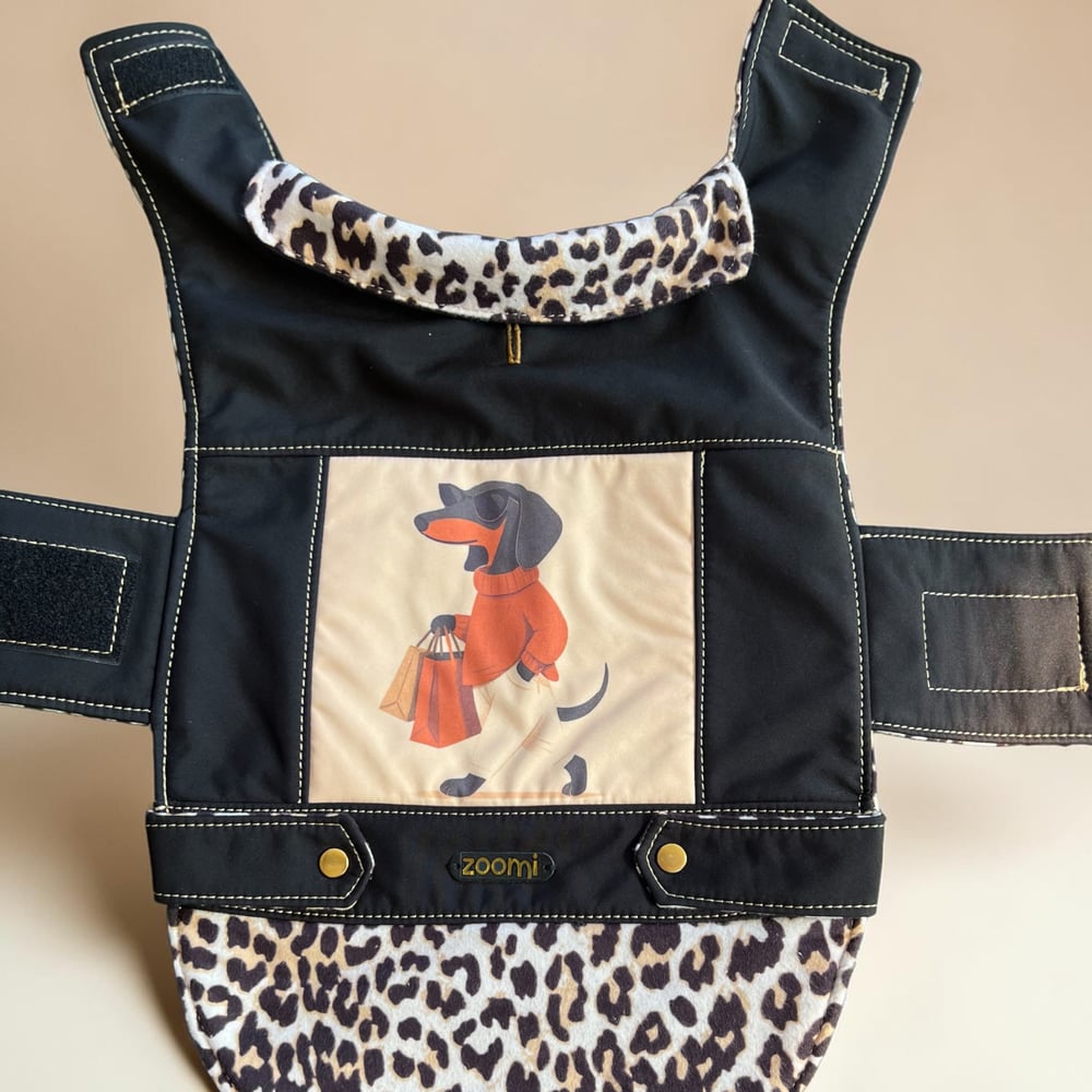 Image of Fashionista