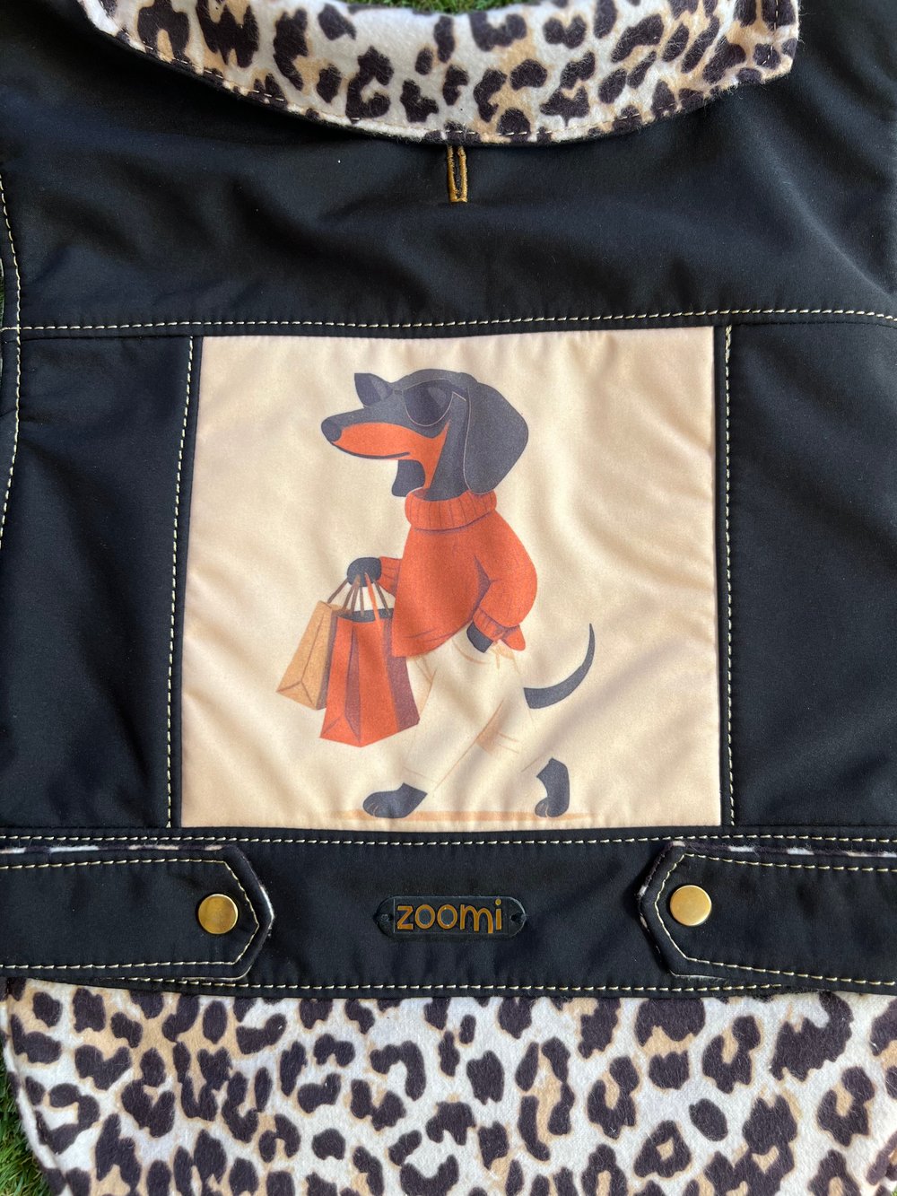 Image of Fashionista