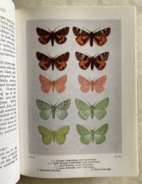 Image 3 of The Moths of the British Isles by Richard South