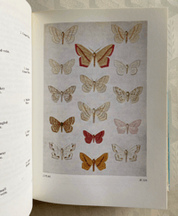Image 4 of The Moths of the British Isles by Richard South