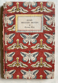 Image 1 of Some British Moths vintage King Penguin book 