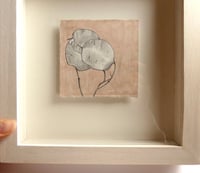 Image 4 of Pink Honesty Drawing - original graphite drawing