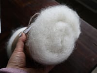 Image 3 of Chanterelle Mini Batt- Fall 2025