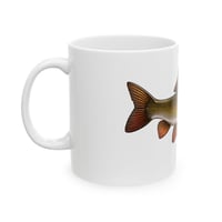 Image 3 of Barbel Mug - Ideal for the serious barbel angler