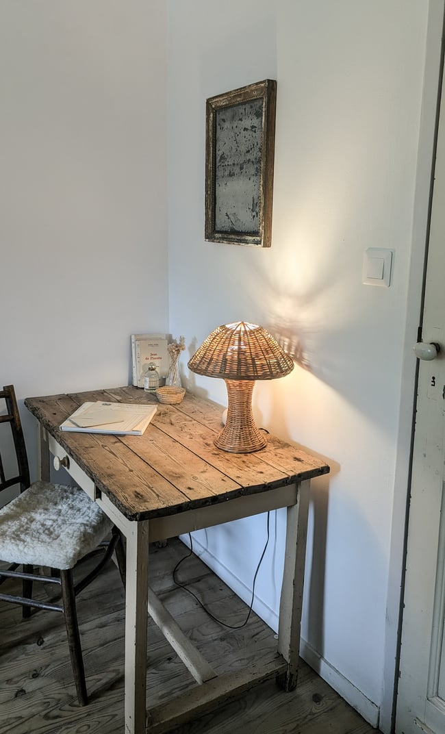Lampe champignon 