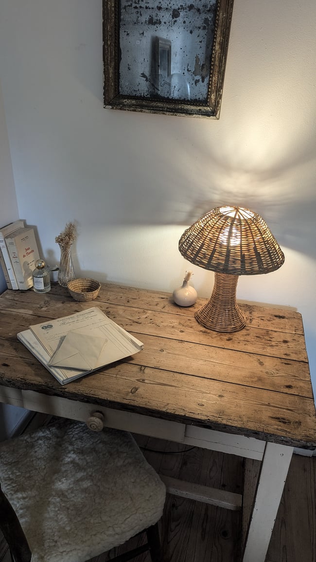 Lampe champignon 