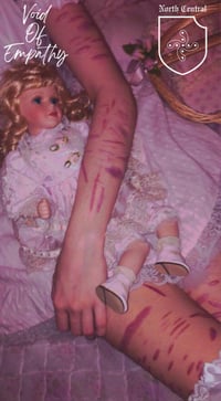 Void Of Empathy / North Central Split Tape