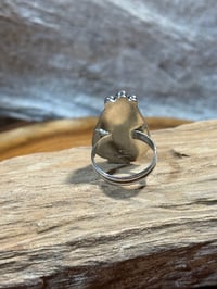 Image 4 of White Buffalo ring 8