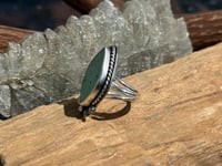 Image 3 of Desert Bloom Statement 7.5