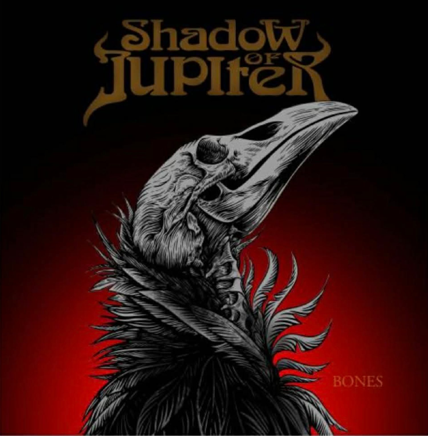 Image of Shadow of Jupiter - Bones Limited Vinyl and CD Editions