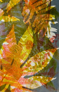 Image 5 of Layered Botanical Gelliprinting on 29/08/26 at Clevedon Craft Centre