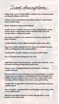 Image 2 of Car diffusers 