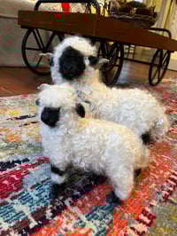 Image 2 of FREE SHIPPING  on one 12” and one 10”Valais blacknose sheep order both together and save!
