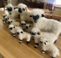 Image 3 of FREE SHIPPING! Assortment of eight Valais Sheep. Receive  pair of each:3”,5”,10” and  12”
