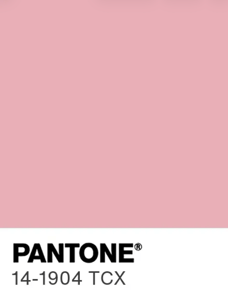 Rose Deluxe Sheer "Selene" Dressing Gown Special Order Image 2