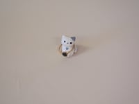 Image 1 of Bitty Kitten 