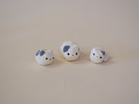 Image 1 of Curled Kittens - choose one 