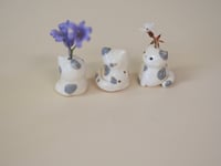 Image 2 of Blue Spotted Kittens -choose one