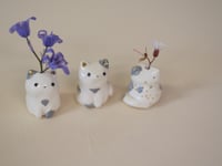 Image 3 of Blue Spotted Kittens -choose one