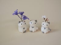 Image 1 of Blue Spotted Kittens -choose one