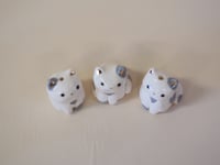 Image 4 of Blue Spotted Kittens -choose one