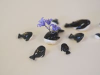 Image 2 of Whales! - choose one