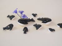 Image 1 of Whales! - choose one