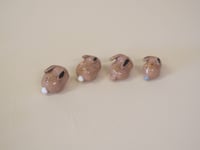 Image 3 of Copy of Chocolate Buns - choose one - 