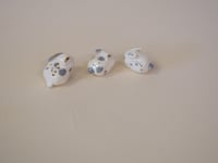 Image 2 of Spottted Buns - choose one 