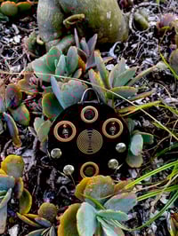 Image 4 of Ancestral VisionaryLarynx  