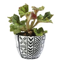 Image 2 of Black and white Bogolanfini Pot - 4-inch