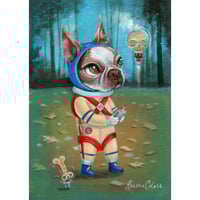 Image 2 of We Have Lift Off