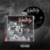 [CD-BROKEN TORSO-THE ULTIMATE ABHORRENCE]