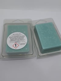 Image 1 of Wax block clamshells