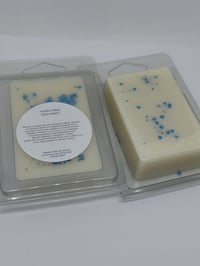 Image 4 of Wax block clamshells