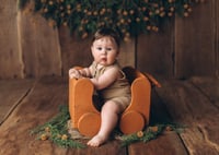 Image 1 of Car in two colors