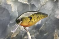 Image 1 of SPEEDBAITS Custom Airbrushed 2.5 Squarebill Crankbait 6839